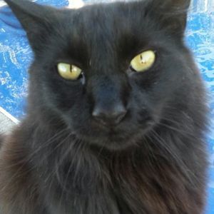 Meet your Posher, Kristina